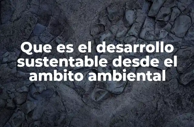 Que es el Desarrollo Sustentable desde el Ambito Ambiental