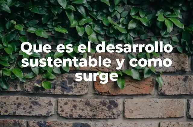 Que es el Desarrollo Sustentable y como Surge
