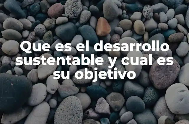 Que es el Desarrollo Sustentable y Cual es Su Objetivo