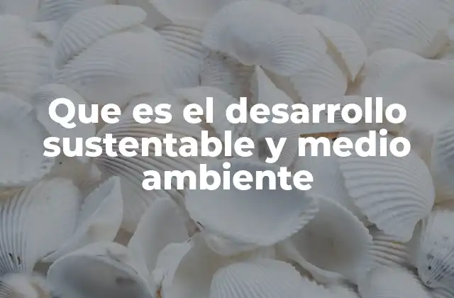 Que es el Desarrollo Sustentable y Medio Ambiente