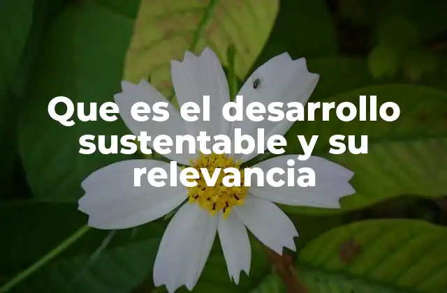 Que es el Desarrollo Sustentable y Su Relevancia