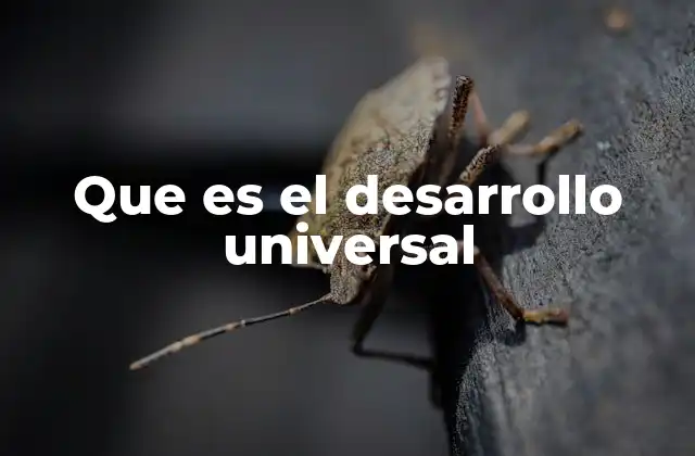 Que es el Desarrollo Universal