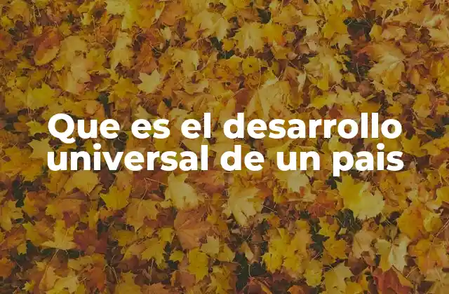Que es el Desarrollo Universal de un Pais