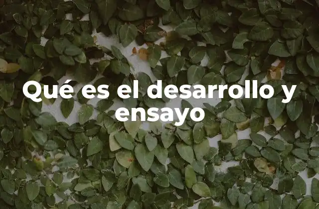 Qué es el Desarrollo y Ensayo