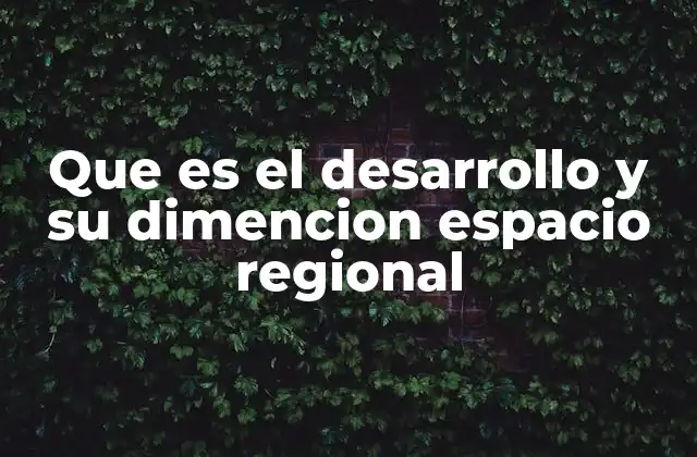 Que es el Desarrollo y Su Dimencion Espacio Regional