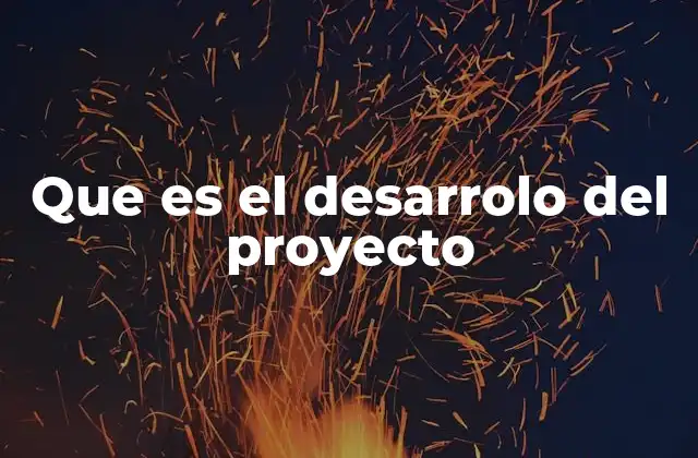 Que es el Desarrolo Del Proyecto
