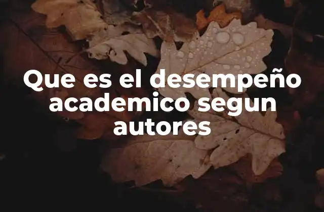 Que es el Desempeño Academico Segun Autores
