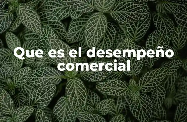 Que es el Desempeño Comercial