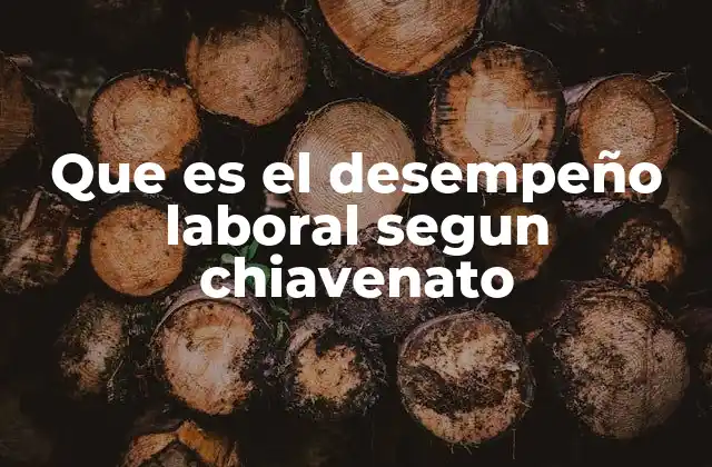 Que es el Desempeño Laboral Segun Chiavenato