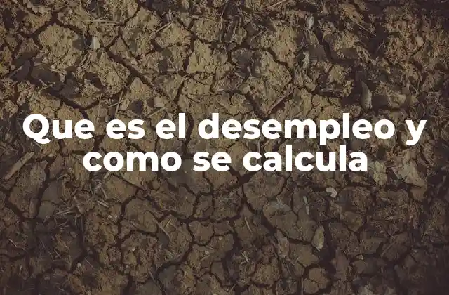 Que es el Desempleo y como Se Calcula