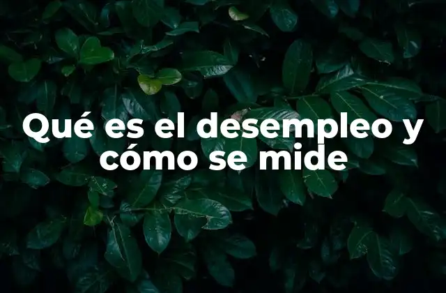 Qué es el Desempleo y Cómo Se Mide
