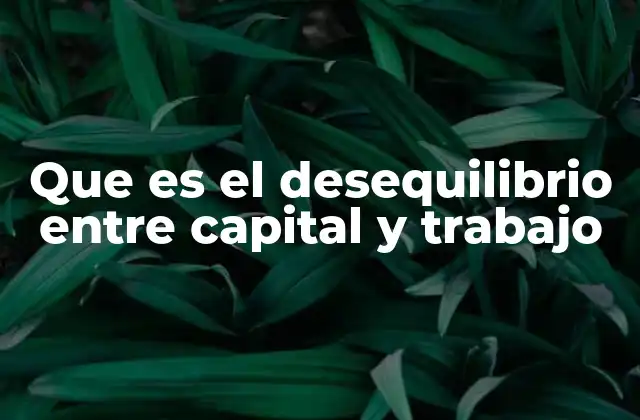 Que es el Desequilibrio entre Capital y Trabajo