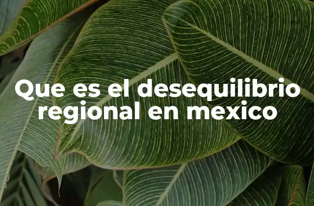 Que es el Desequilibrio Regional en Mexico