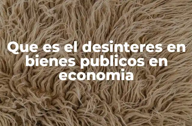 Que es el Desinteres en Bienes Publicos en Economia