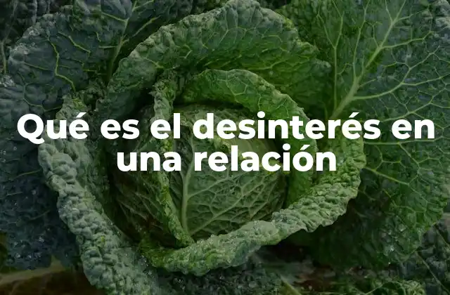 Qué es el Desinterés en una Relación