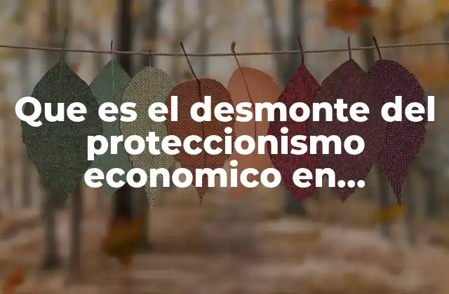 Que es el Desmonte Del Proteccionismo Economico en Colombia
