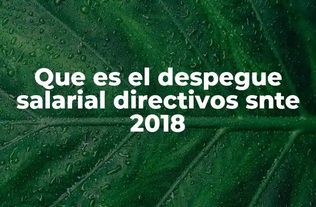 El contexto del despegue salarial y sus desencadenantes