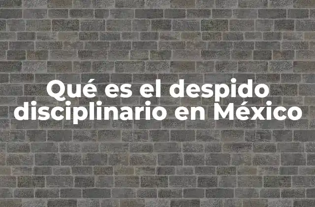 Qué es el Despido Disciplinario en México