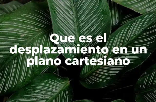 Que es el Desplazamiento en un Plano Cartesiano