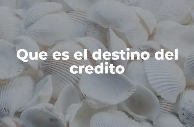 Que es el Destino Del Credito