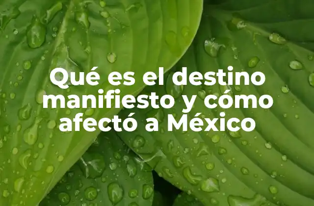 Qué es el Destino Manifiesto y Cómo Afectó a México