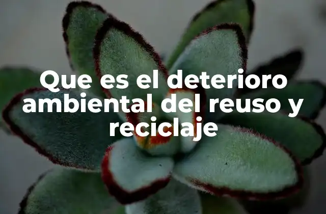 Que es el Deterioro Ambiental Del Reuso y Reciclaje