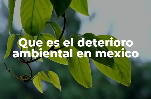 Que es el Deterioro Ambiental en Mexico
