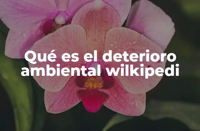 Qué es el Deterioro Ambiental Wilkipedi 2 Causas del deterioro ambiental