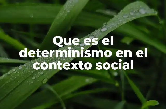 Que es el Determinismo en el Contexto Social