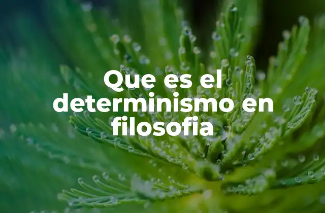 Que es el Determinismo en Filosofia