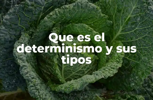 Que es el Determinismo y Sus Tipos