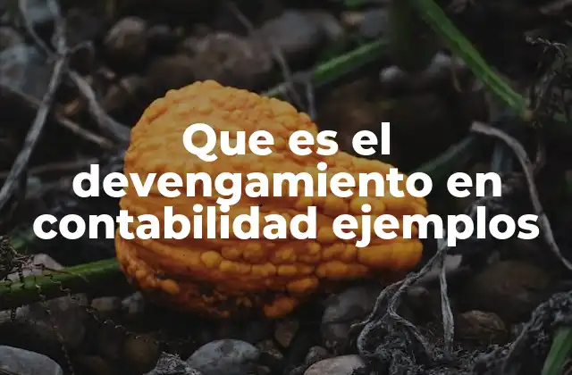 Que es el Devengamiento en Contabilidad Ejemplos