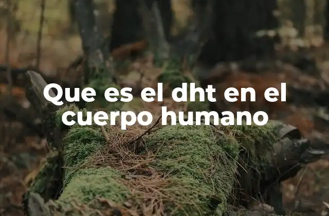 Que es el Dht en el Cuerpo Humano