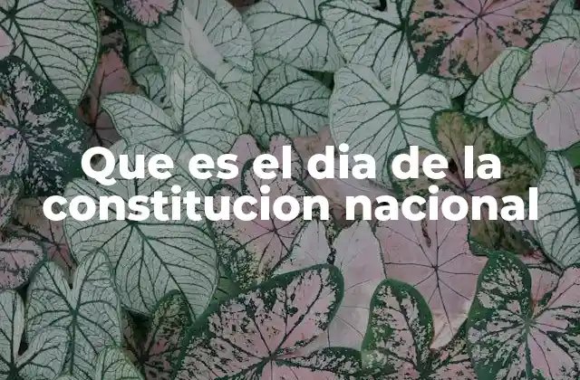 Que es el Dia de la Constitucion Nacional