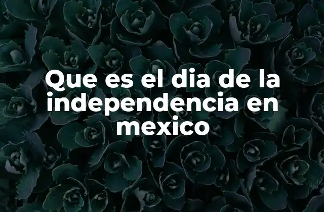 Que es el Dia de la Independencia en Mexico 2 La importancia de la independencia en la historia de México