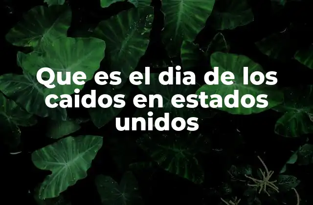 Que es el Dia de los Caidos en Estados Unidos