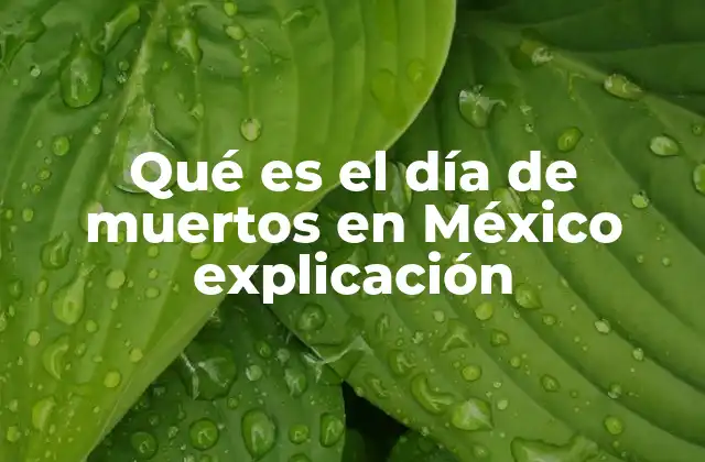 Qué es el Día de Muertos en México Explicación