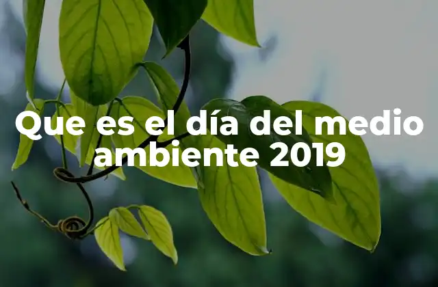 Que es el Día Del Medio Ambiente 2019