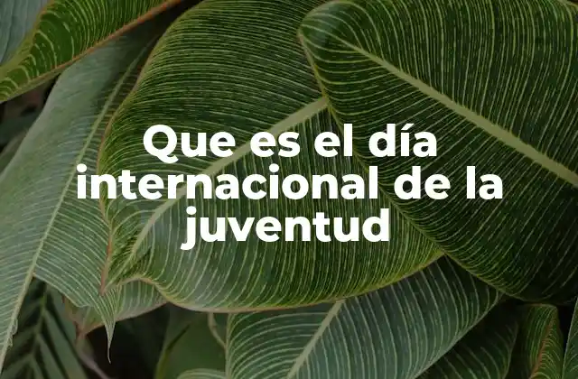 Que es el Día Internacional de la Juventud
