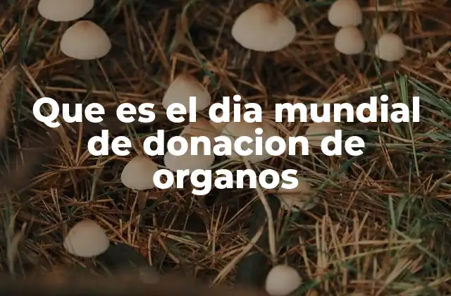 Que es el Dia Mundial de Donacion de Organos