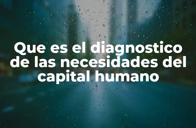Que es el Diagnostico de las Necesidades Del Capital Humano
