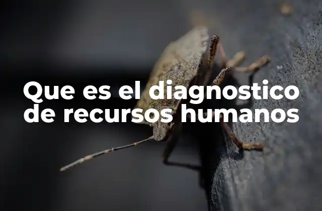 Que es el Diagnostico de Recursos Humanos