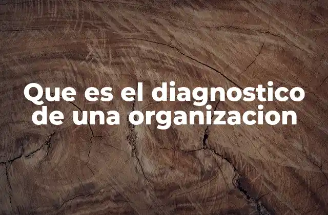 Que es el Diagnostico de una Organizacion