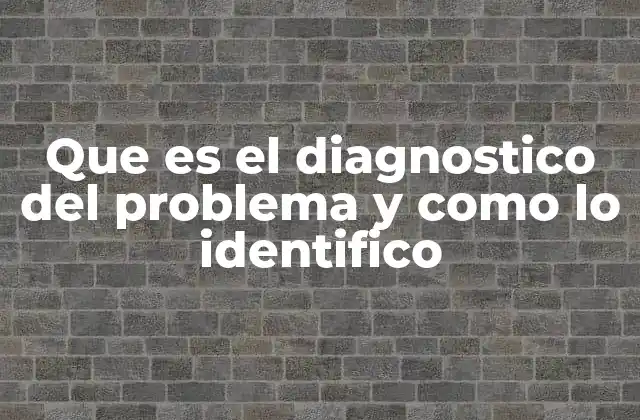 Que es el Diagnostico Del Problema y como Lo Identifico