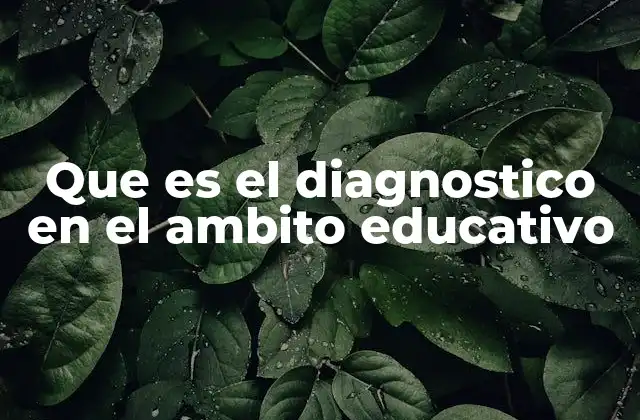 Que es el Diagnostico en el Ambito Educativo 2 La importancia del diagnóstico en la planificación docente