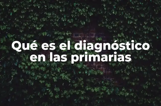 Qué es el Diagnóstico en las Primarias 2 La importancia del diagnóstico en la educación primaria