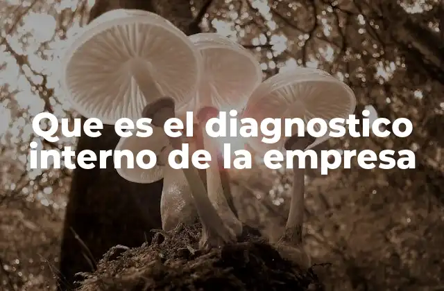 Que es el Diagnostico Interno de la Empresa