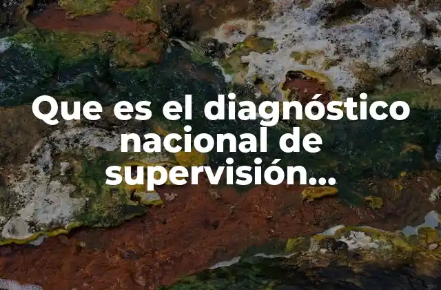 Que es el Diagnóstico Nacional de Supervisión Penitenciaria