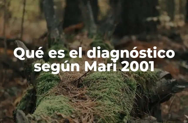 Qué es el Diagnóstico según Mari 2001