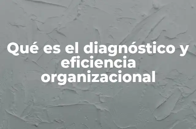 Qué es el Diagnóstico y Eficiencia Organizacional